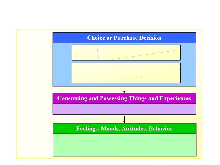 Choice or Purchase Decision Consuming and Possessing Things and Experiences Feelings, Moods, Attitudes, Behavior