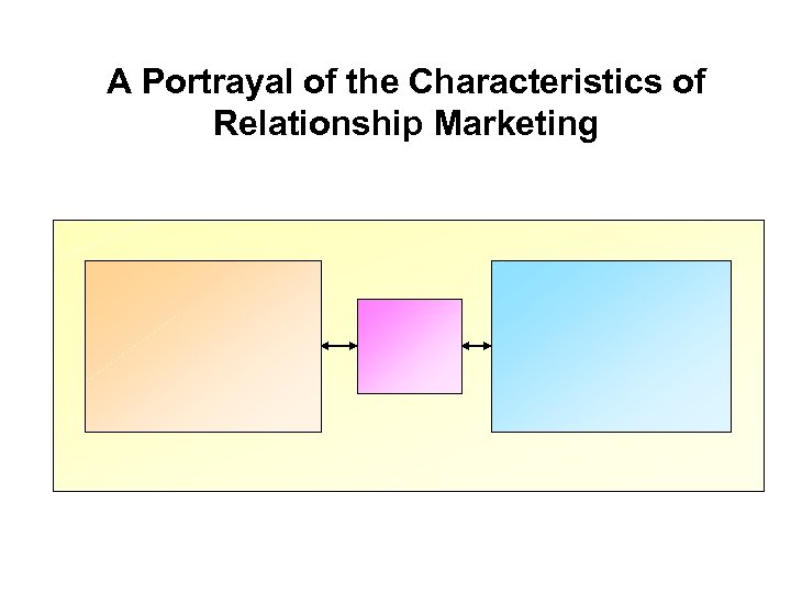 A Portrayal of the Characteristics of Relationship Marketing 