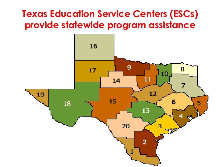 Texas Education Service Centers (ESCs) provide statewide program assistance 13 
