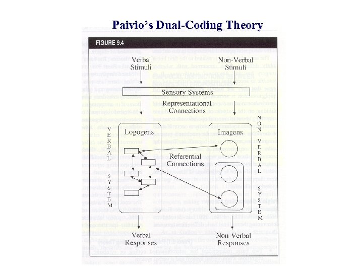 Paivio’s Dual-Coding Theory 