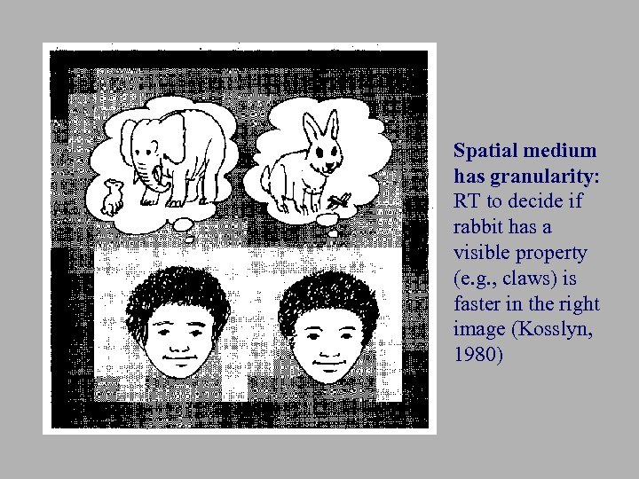 Spatial medium has granularity: RT to decide if rabbit has a visible property (e.