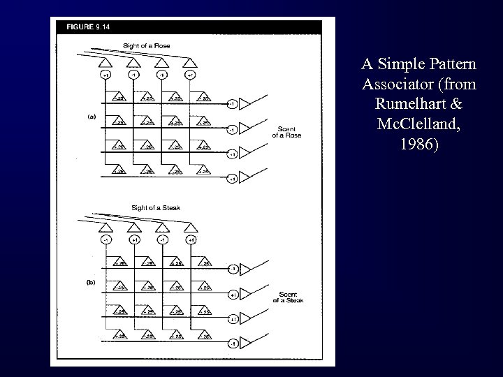 A Simple Pattern Associator (from Rumelhart & Mc. Clelland, 1986) 