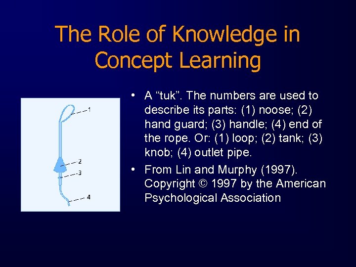 The Role of Knowledge in Concept Learning • A “tuk”. The numbers are used