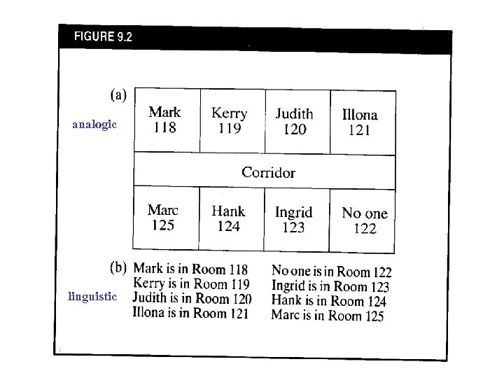 analogic linguistic 