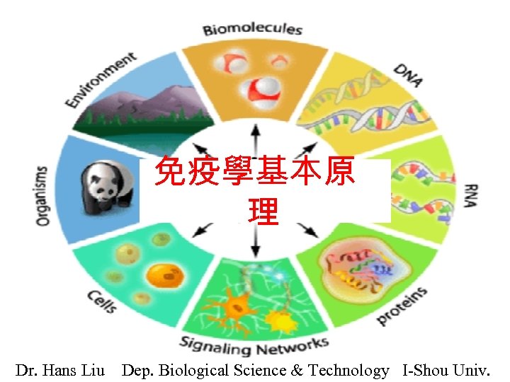 免疫學基本原 理 Dr. Hans Liu Dep. Biological Science & Technology I-Shou Univ. 