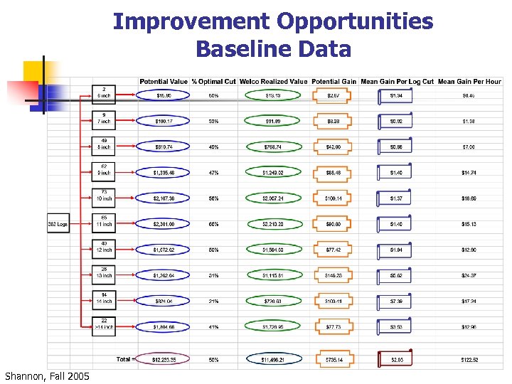 Improvement Opportunities Baseline Data Shannon, Fall 2005 