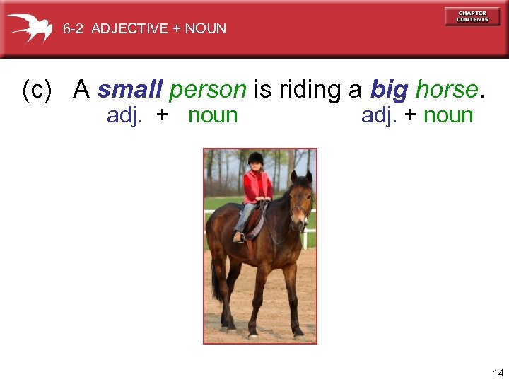 6 -2 ADJECTIVE + NOUN (c) A small person is riding a big horse.