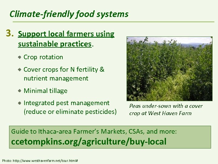 Climate-friendly food systems 3. Support local farmers using sustainable practices. Crop rotation Cover crops
