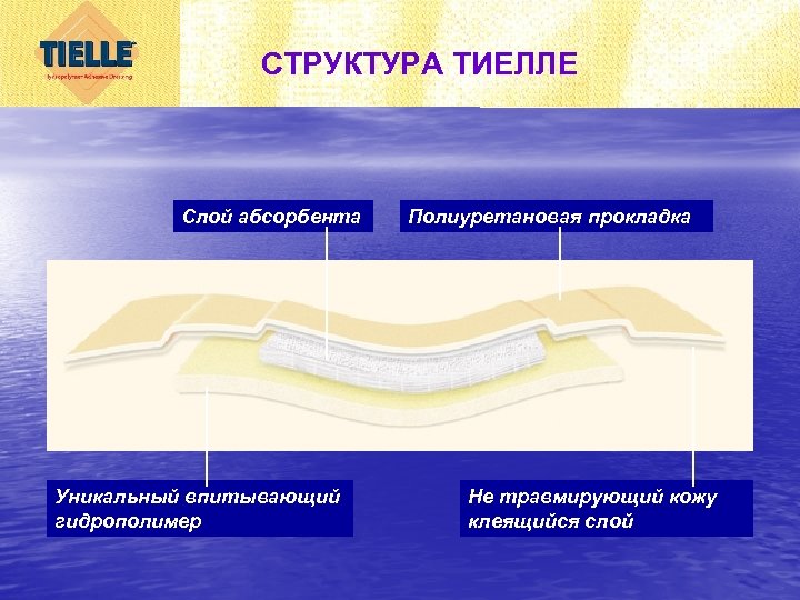 СТРУКТУРА ТИЕЛЛЕ Слой абсорбента Уникальный впитывающий гидрополимер Полиуретановая прокладка Не травмирующий кожу клеящийся слой
