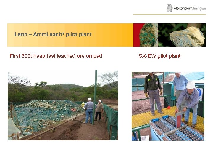 AGM Presentation June 2008 Leon – Amm. Leach® pilot plant First 500 t heap