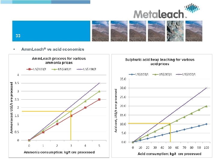 33 • Amm. Leach® vs acid economics 