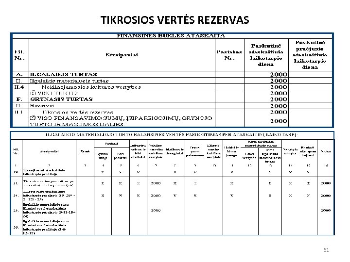 TIKROSIOS VERTĖS REZERVAS 61 