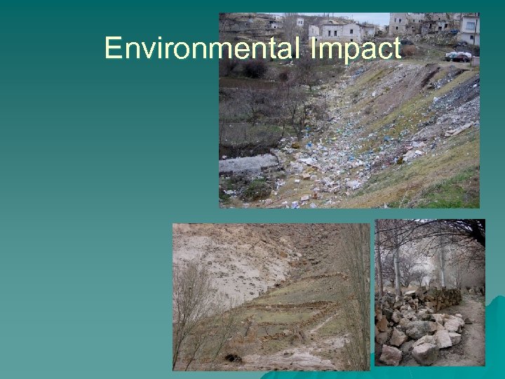 Environmental Impact 