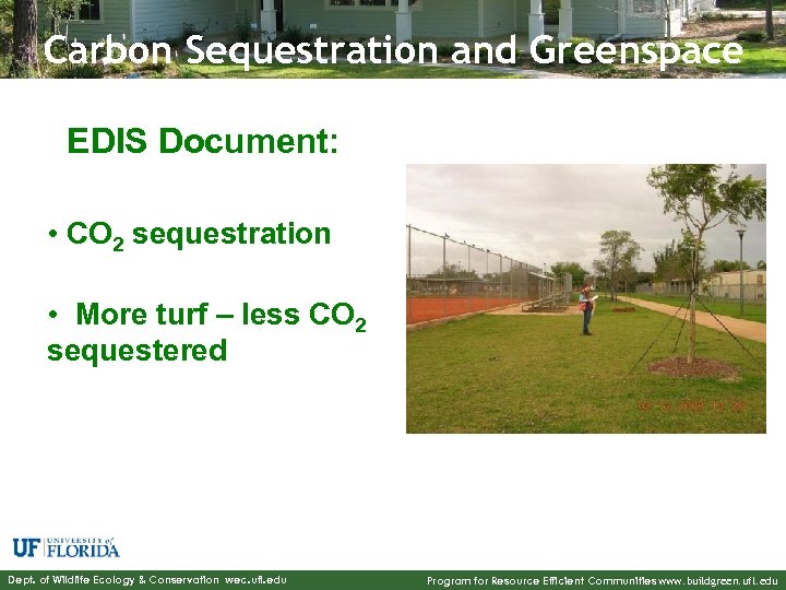 Carbon Sequestration and Greenspace EDIS Document: • CO 2 sequestration • More turf –