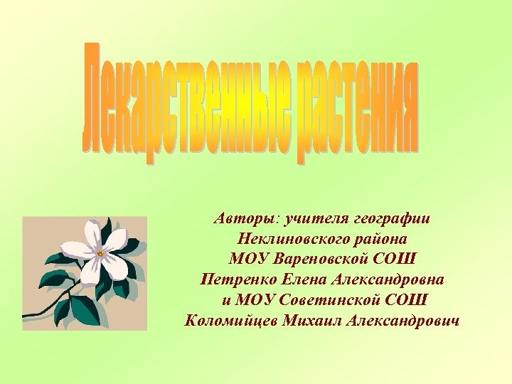 Авторы: учителя географии Неклиновского района МОУ Вареновской СОШ Петренко Елена Александровна и МОУ Советинской