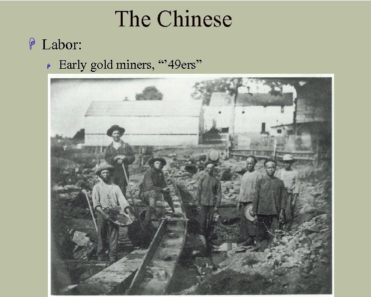 The Chinese H Labor: H Early gold miners, “’ 49 ers” 