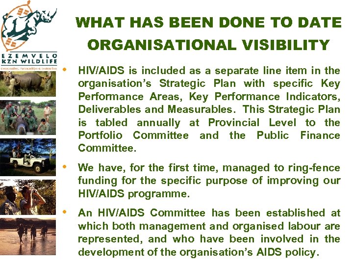 WHAT HAS BEEN DONE TO DATE ORGANISATIONAL VISIBILITY • HIV/AIDS is included as a