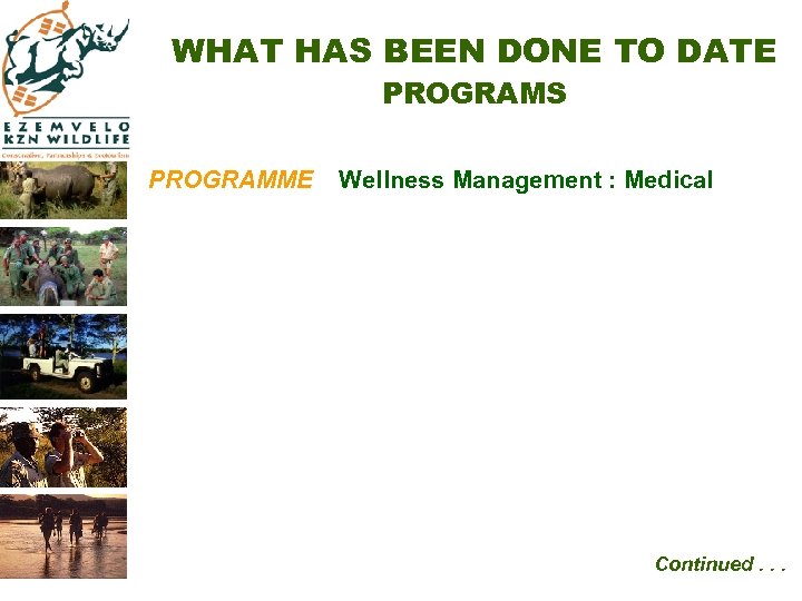 WHAT HAS BEEN DONE TO DATE PROGRAMS PROGRAMME Wellness Management : Medical Continued. .