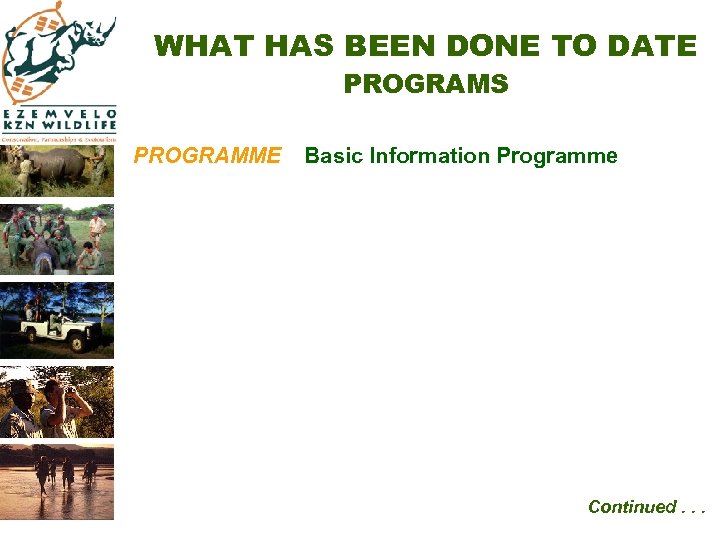 WHAT HAS BEEN DONE TO DATE PROGRAMS PROGRAMME Basic Information Programme Continued. . .