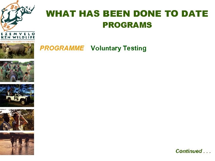 WHAT HAS BEEN DONE TO DATE PROGRAMS PROGRAMME Voluntary Testing Continued. . . 