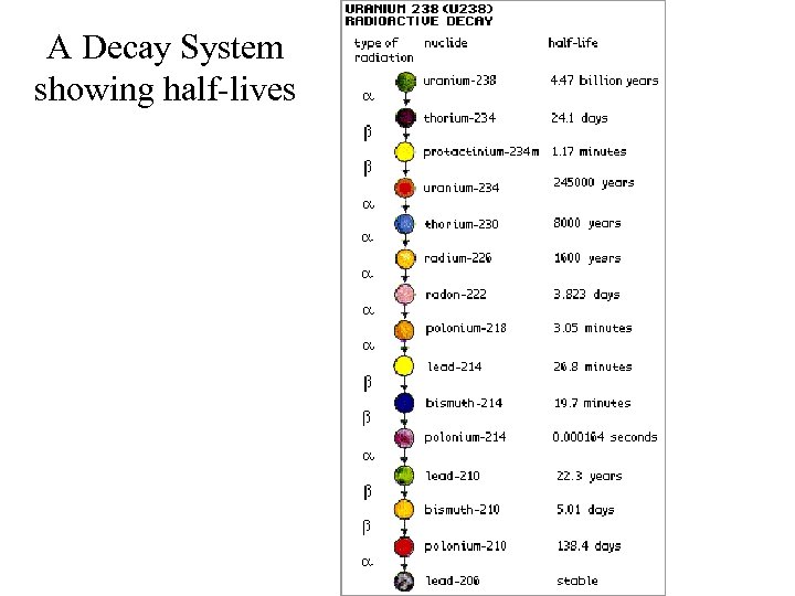 A Decay System showing half-lives 