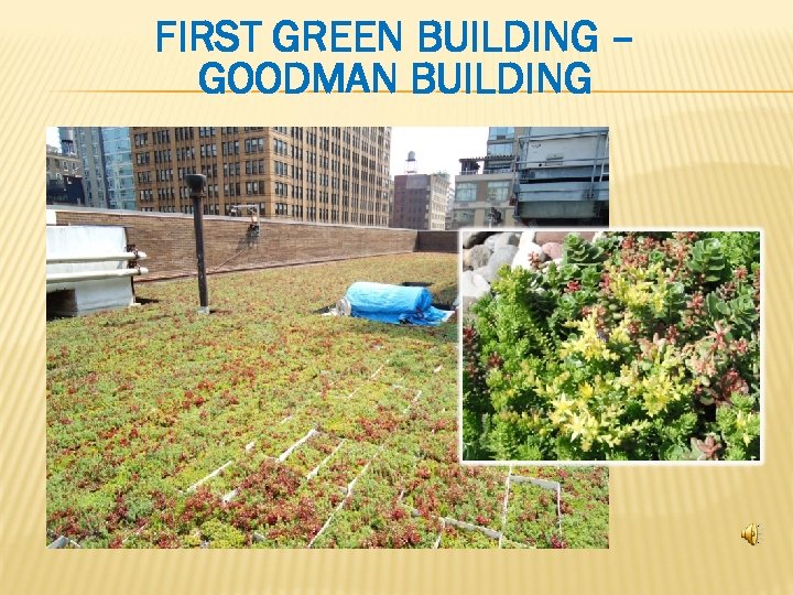  FIRST GREEN BUILDING – GOODMAN BUILDING 