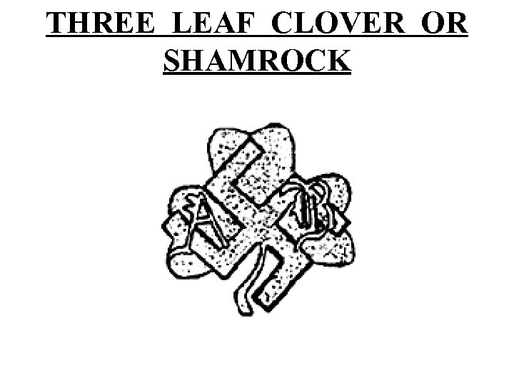 THREE LEAF CLOVER OR SHAMROCK 