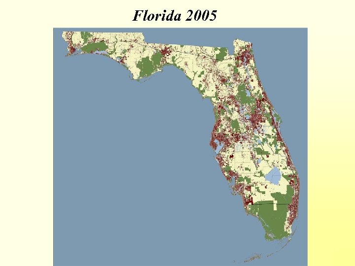 Florida 2005 