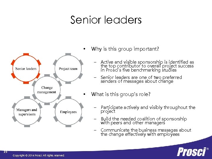 Senior leaders • Why is this group important? – Active and visible sponsorship is