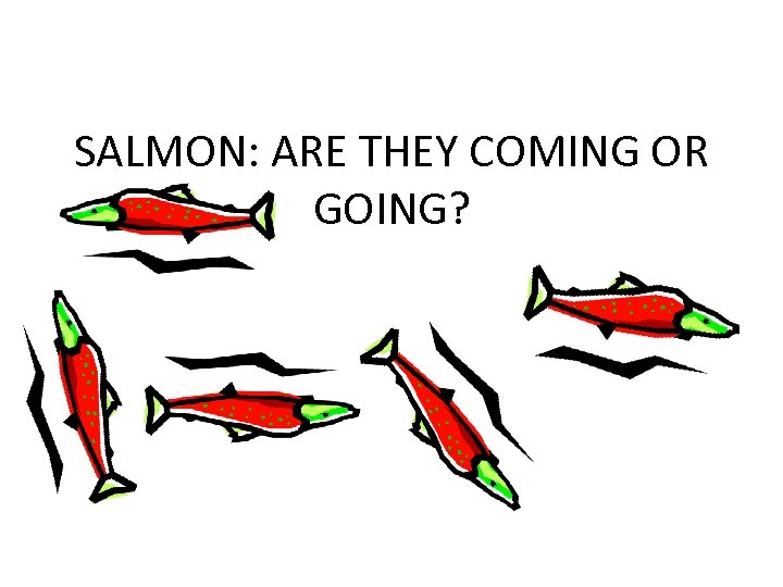 SALMON: ARE THEY COMING OR GOING? 