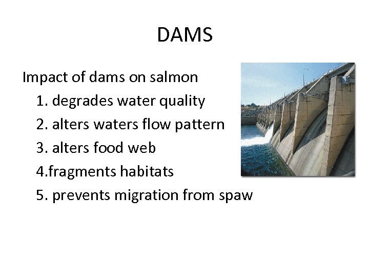 DAMS Impact of dams on salmon 1. degrades water quality 2. alters waters flow