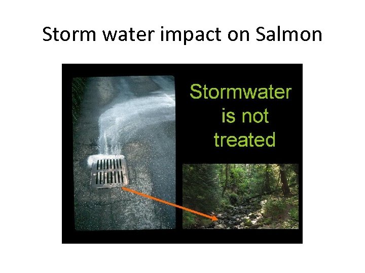 Storm water impact on Salmon 