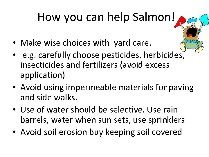 How you can help Salmon! • Make wise choices with yard care. • e.