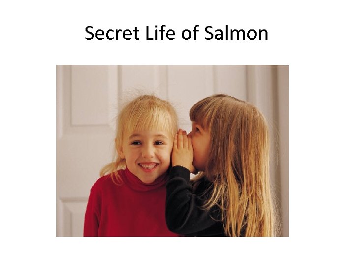 Secret Life of Salmon 