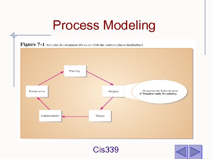 Process Modeling Cis 339 