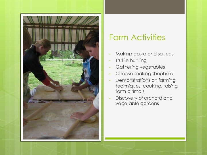 Farm Activities • • • Making pasta and sauces Truffle hunting Gathering vegetables Cheese-making