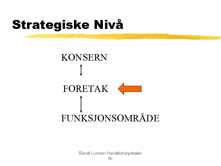 Strategiske Nivå KONSERN FORETAK FUNKSJONSOMRÅDE Randi Lunnan Handelshøyskolen BI 
