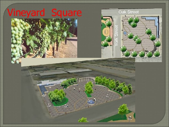 Oak Street York Street Vineyard Square 