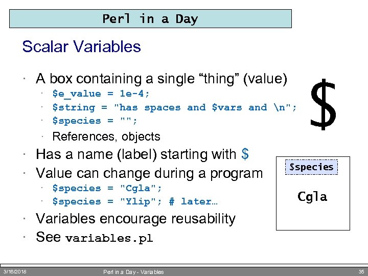 Perl in a Day Scalar Variables · A box containing a single “thing” (value)