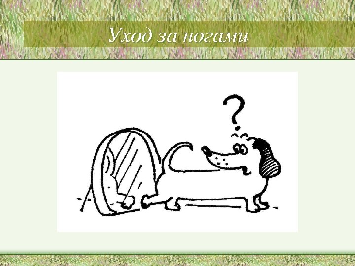 Уход за ногами 
