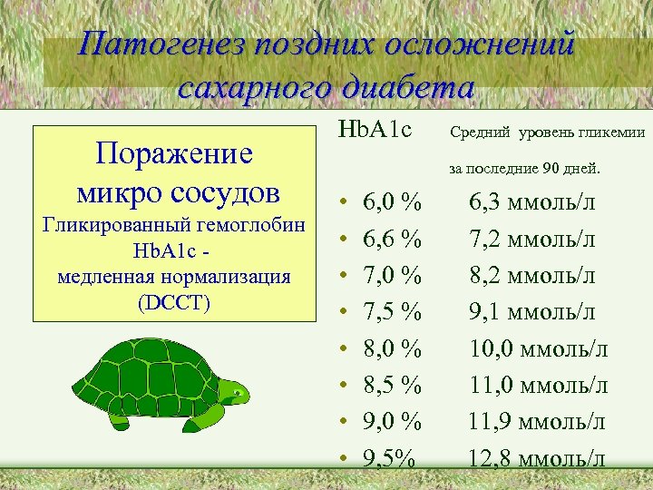 Патогенез поздних осложнений сахарного диабета Поражение микро сосудов Гликированный гемоглобин Hb. A 1 c