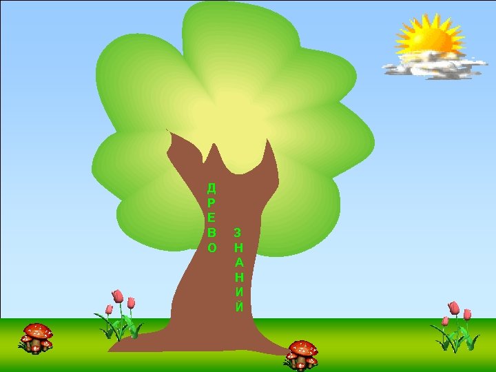 Д Р Е В О З Н А Н И Й 