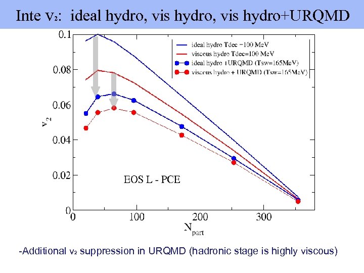  Inte v 2: ideal hydro, vis hydro+URQMD -Additional v 2 suppression in URQMD