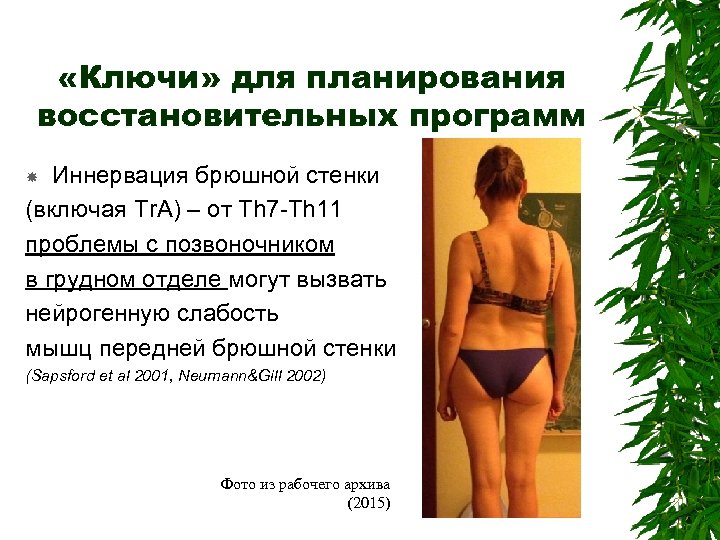  «Ключи» для планирования восстановительных программ Иннервация брюшной стенки (включая Tr. A) – от