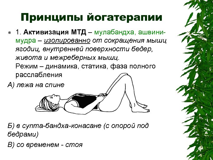 Принципы йогатерапии 1. Активизация МТД – мулабандха, ашвинимудра – изолированно от сокращения мышц ягодиц,