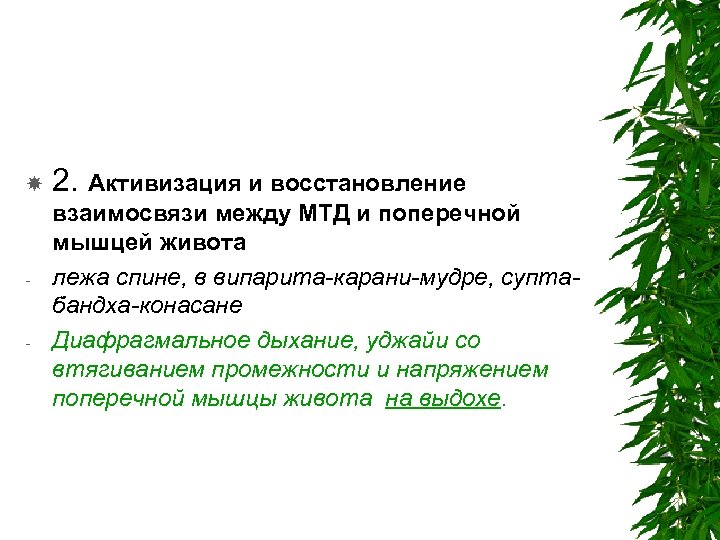  - - 2. Активизация и восстановление взаимосвязи между МТД и поперечной мышцей живота