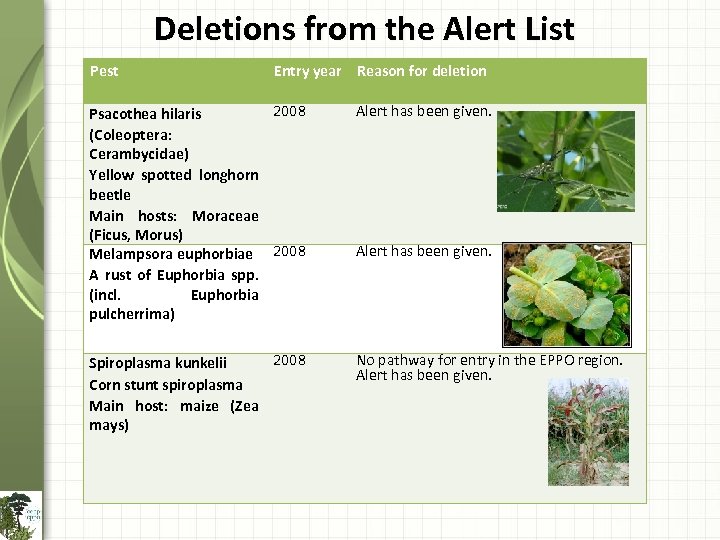 Deletions from the Alert List Pest Entry year Reason for deletion 2008 Psacothea hilaris