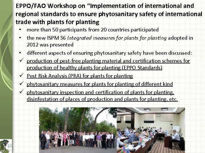 EPPO/FAO Workshop on “Implementation of international and regional standards to ensure phytosanitary safety of