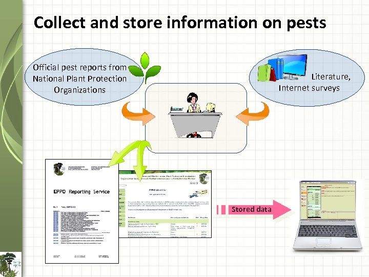 Collect and store information on pests Official pest reports from National Plant Protection Organizations