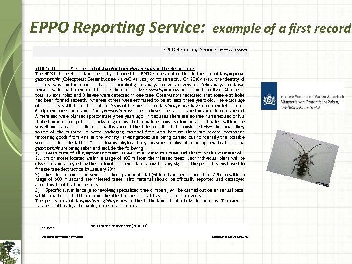 EPPO Reporting Service: example of a first record EPPO Reporting Service – Pests &